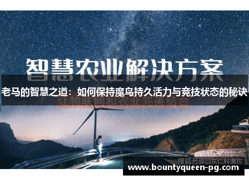 老马的智慧之道：如何保持魔鸟持久活力与竞技状态的秘诀