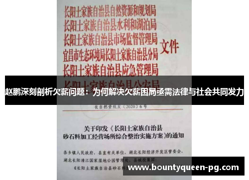 赵鹏深刻剖析欠薪问题：为何解决欠薪困局亟需法律与社会共同发力